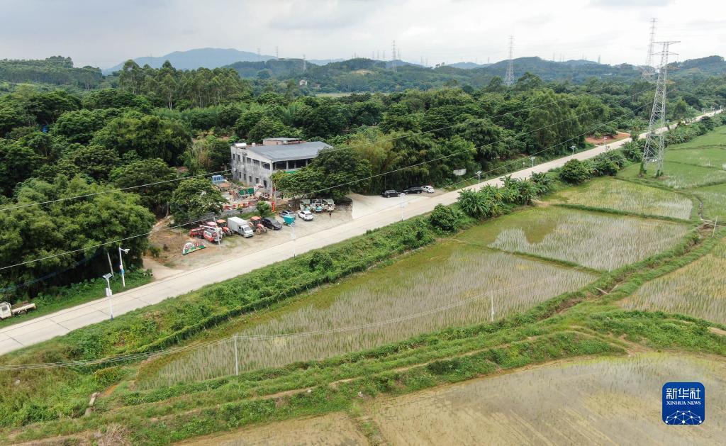 微信怎么免费领100元